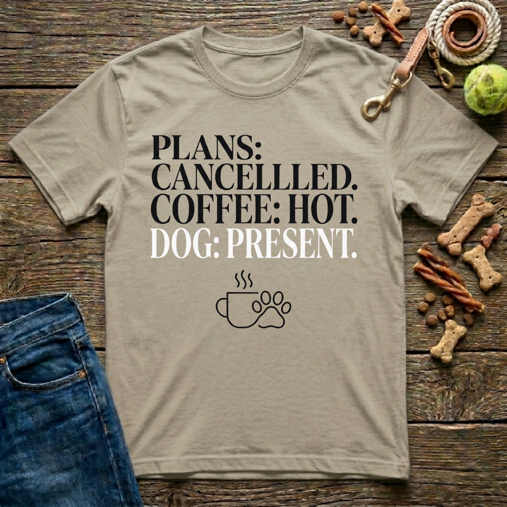 Plans Cancelled T-Shirt